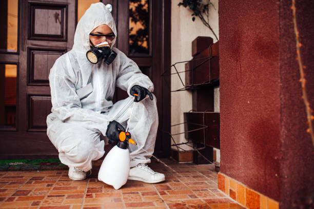 Reliable Cockroach Control contractor in Phillipsburg, GA by Nex Pest Control