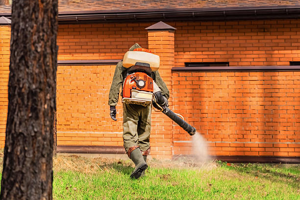 Trusted Cockroach Control service in Phillipsburg, GA - Nex Pest Control